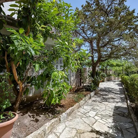 Studio 2061a * Zavala