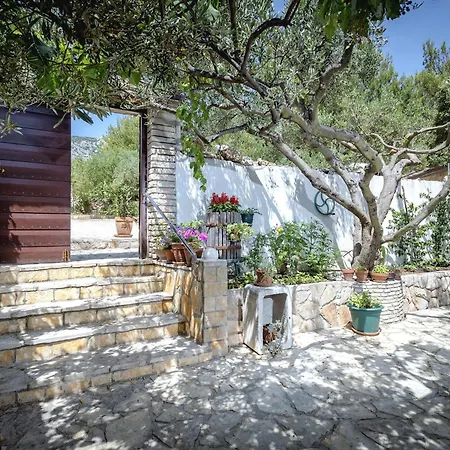 Apartment Studio 2061a