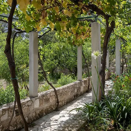 Studio 2061a Apartment *